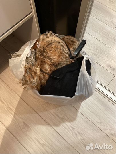 Женские вещи пакетом 42 44 бесплатно