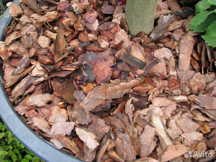 Мульча, кора лиственницы