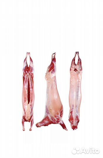 Мясо баранина