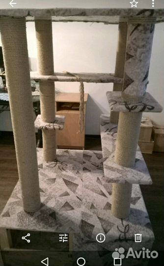 Когтеточка