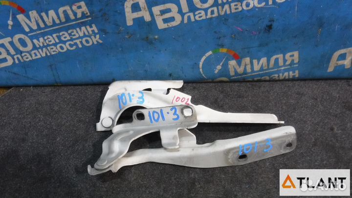 Петля капота nissan elgrand