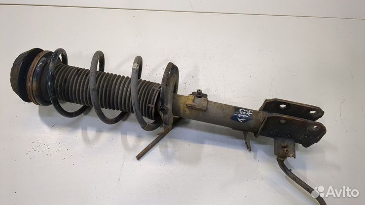 Амортизатор подвески Suzuki Swift 2011, 2012