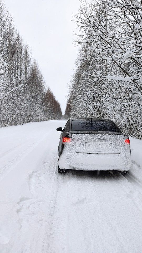 Kia Cerato: фото владельца
