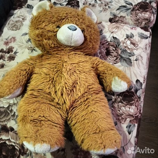Медвед большой