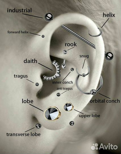 Мастер пирсинга