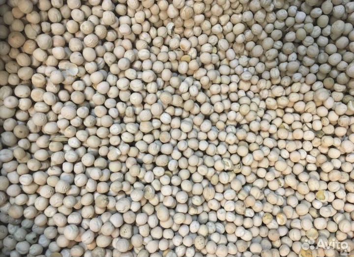 Горох кормовой цельный