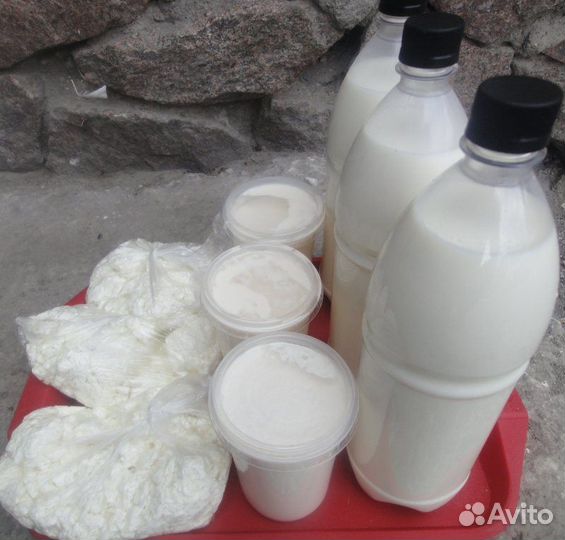 Молоко коровье,творог,сметана,яйцо,домашнее