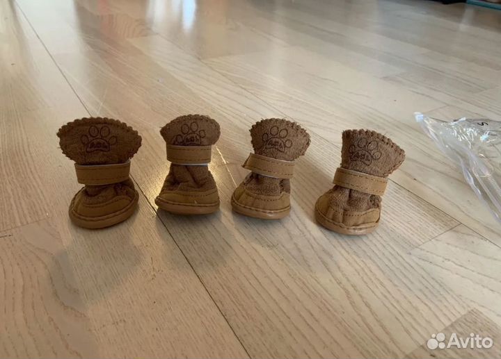 Ботинки для маленьких собак