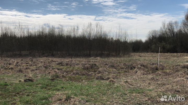 Приму грунт бесплатно или с небольшой доплатой