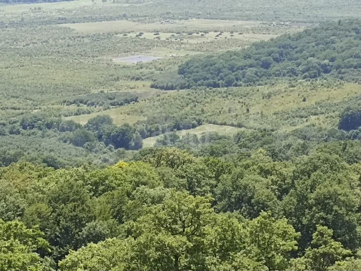 Участок 7,48 га (СНТ, ДНП)