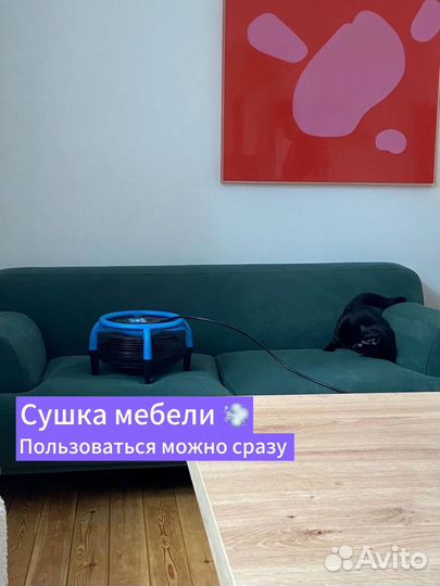 Химчистка мебели дивана матраса С гарантией