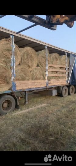 Сено в рулонах 2023