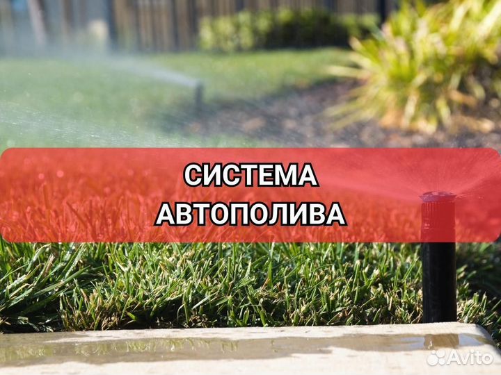 Рулонный газон