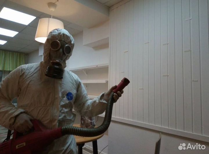 Средство для Уничтожения клопов, тараканов, крыс Дезинфекции