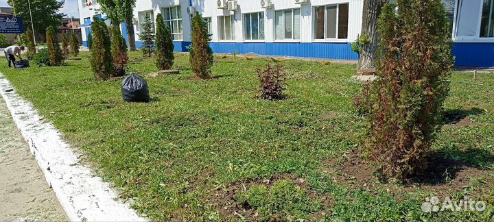 Благоустройство участка