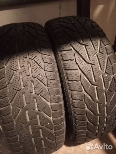 Tigar Winter 205/60 R16 92