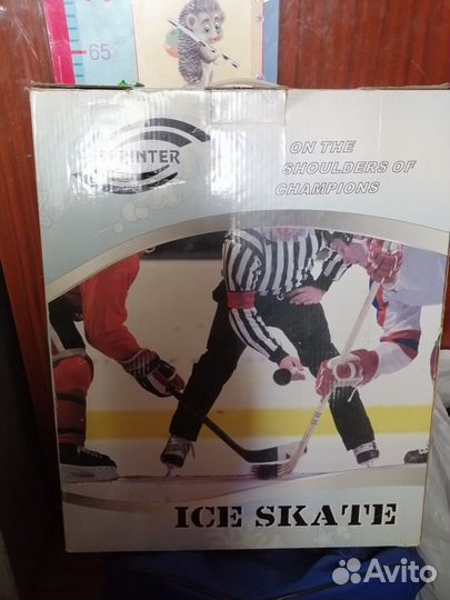 Коньки ледовые