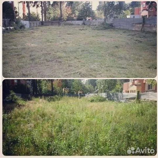 Покос травы