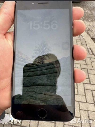 iPhone 8 Plus, 256 ГБ