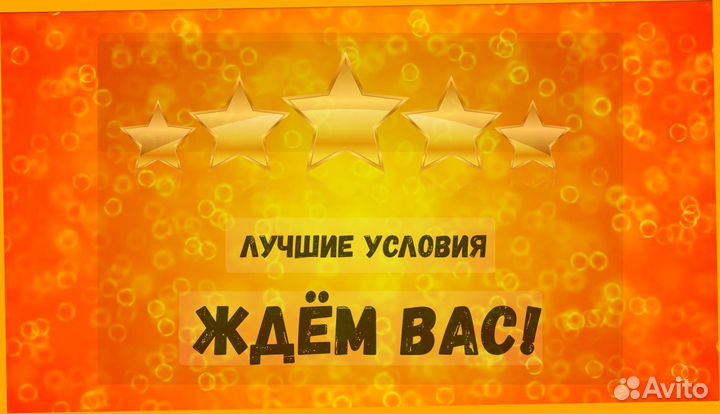 Сортировщик Еженедельный аванс Спецодежда М/Ж