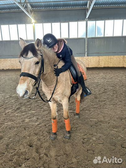 Помогу с лошадью