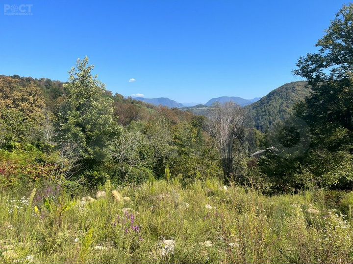 Участок 5,6 сот. (СНТ, ДНП)