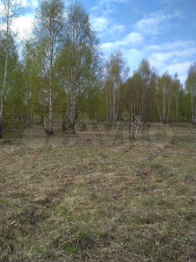 Участок 5,59 га (СНТ, ДНП)