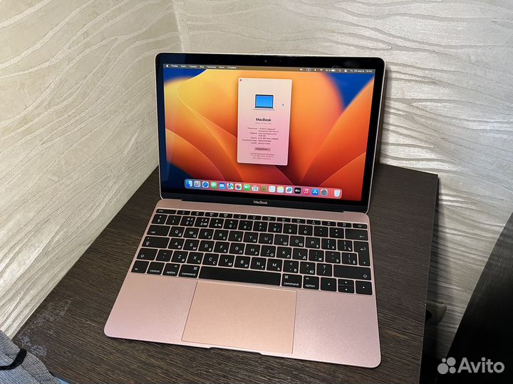 MacBook 12-inch (2017) (512 Gb)