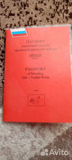 Жеребец орловский рысак