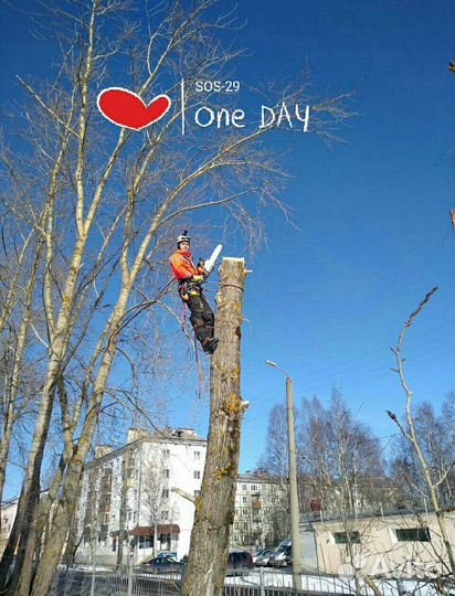 Обрезка деревьев