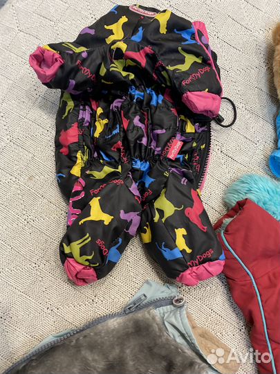 Вещи на маленьких собак