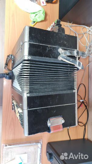 Баян тульский