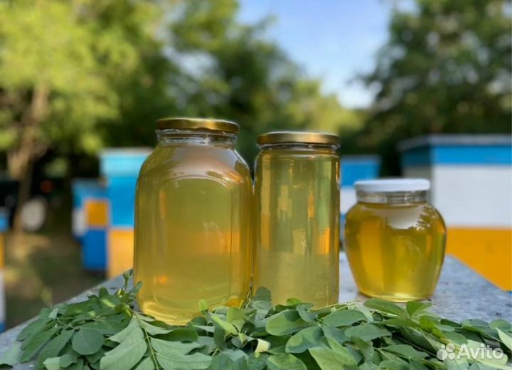 Мед подсолнух