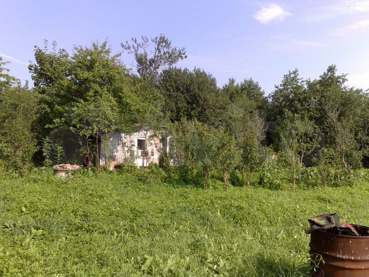 Дом 58,5 м² на участке 16,5 сот.