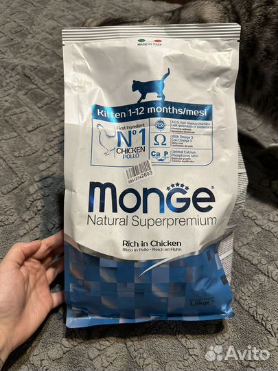 Корм для котят monge 1.5кг