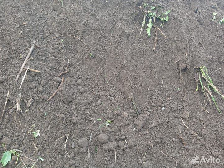 Плодородный грунт