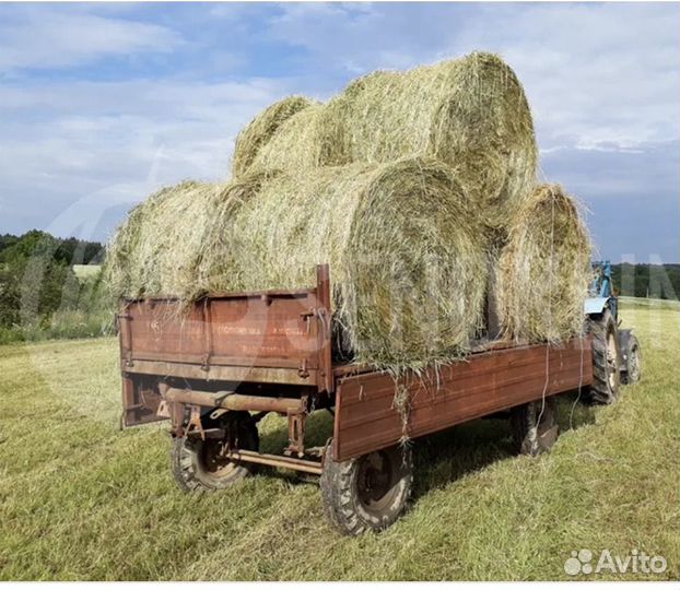 Сено в рулонах