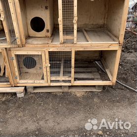 Клетка для кроликов с маточником деревянная