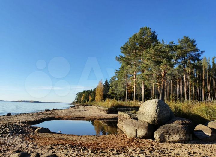 Участок 50 сот. (ИЖС)