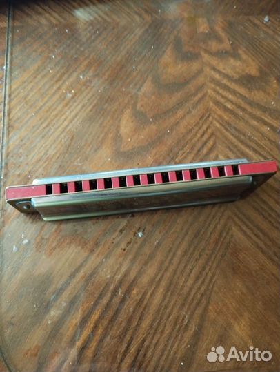 Губная гармошка hohner
