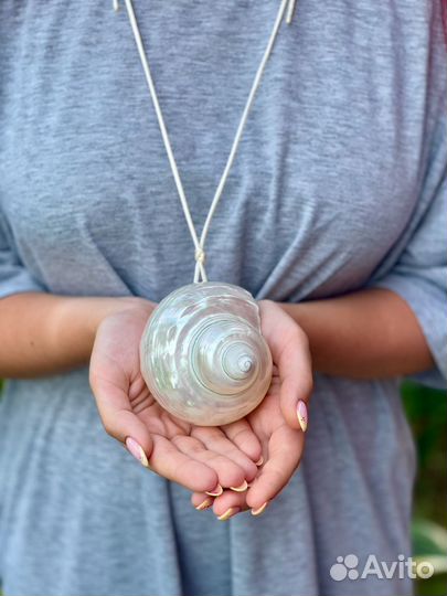 Кулон ракушка