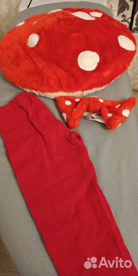 Шапочка гриба