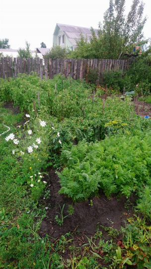 Дача 20 м² на участке 3 сот.