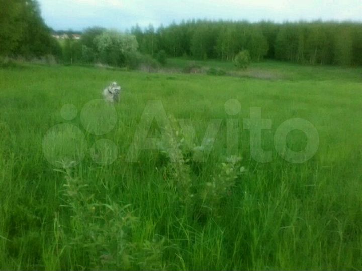 Участок 25 сот. (ИЖС)