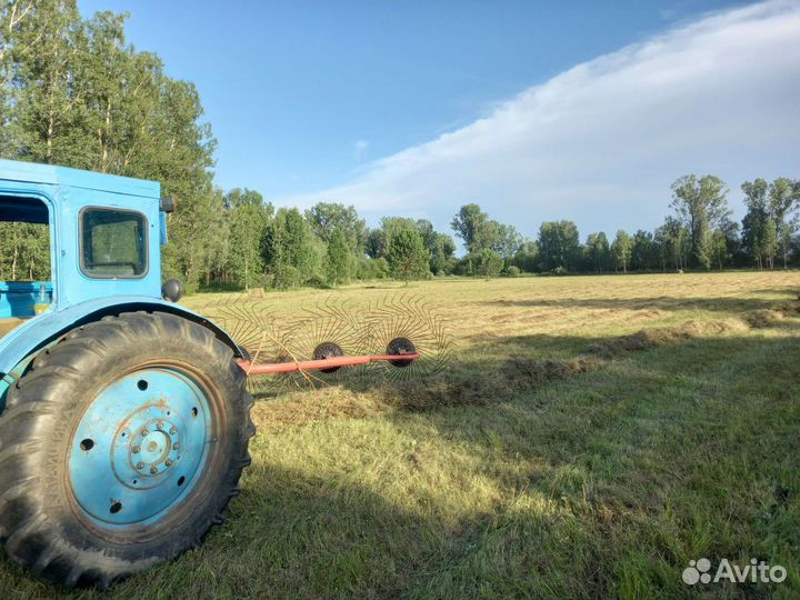 Сено в рулонах