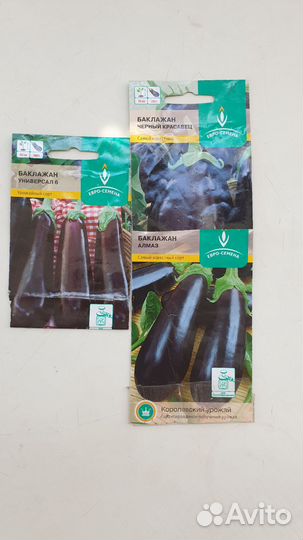 Рассада перцев, огурцов, капусты