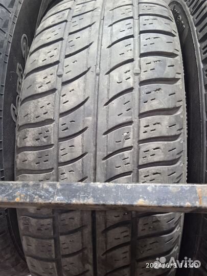 Pirelli Carras All Season 185/65 R14