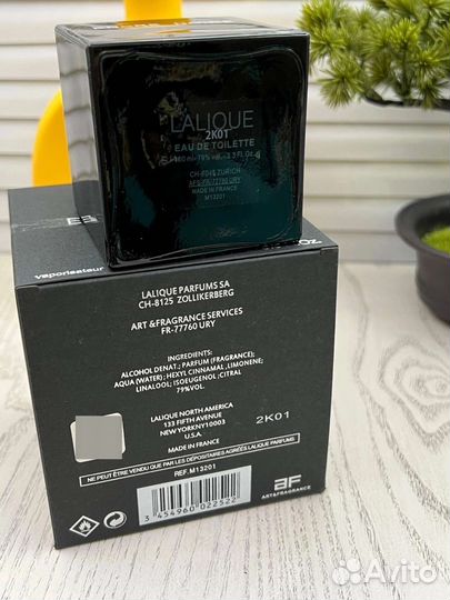 Lalique encre noir