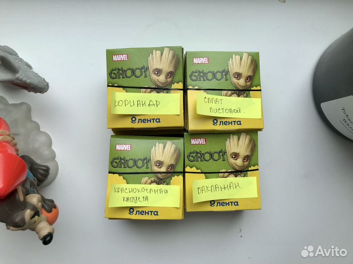 Семена для выращивания Лента groot