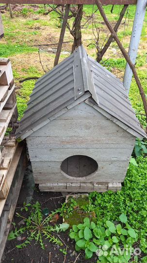 Будка для собаки